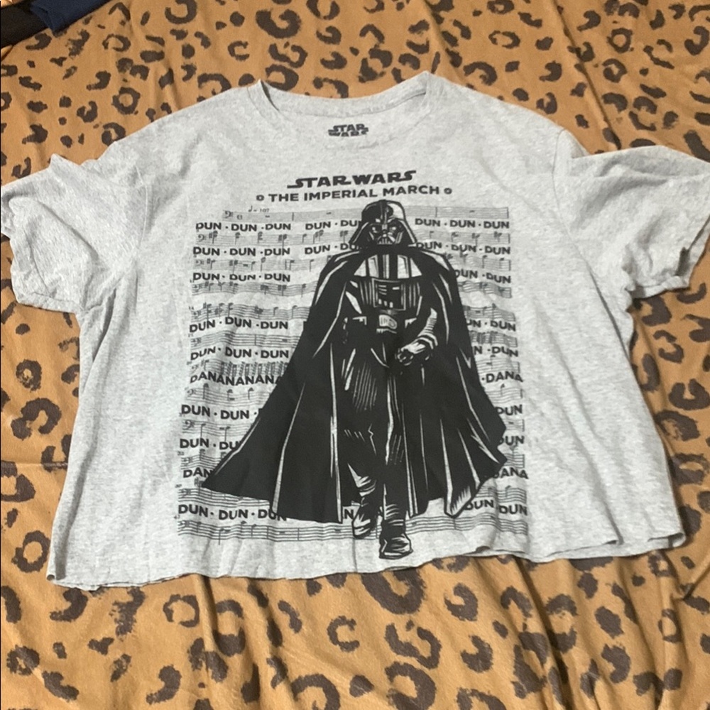 Star Wars Gray Crop Top with Darth Vader Design